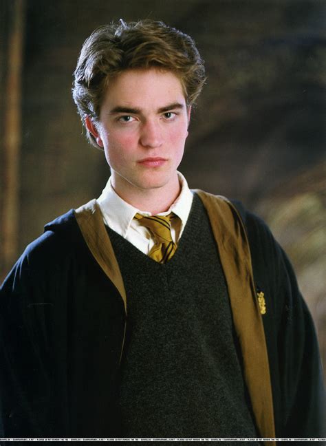 cedric diggory and harry potter